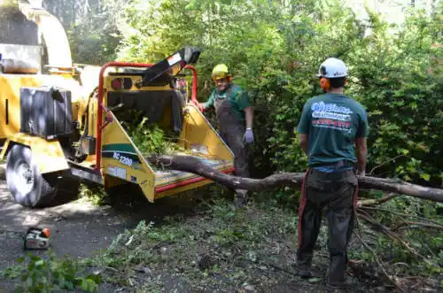 tree services Colusa